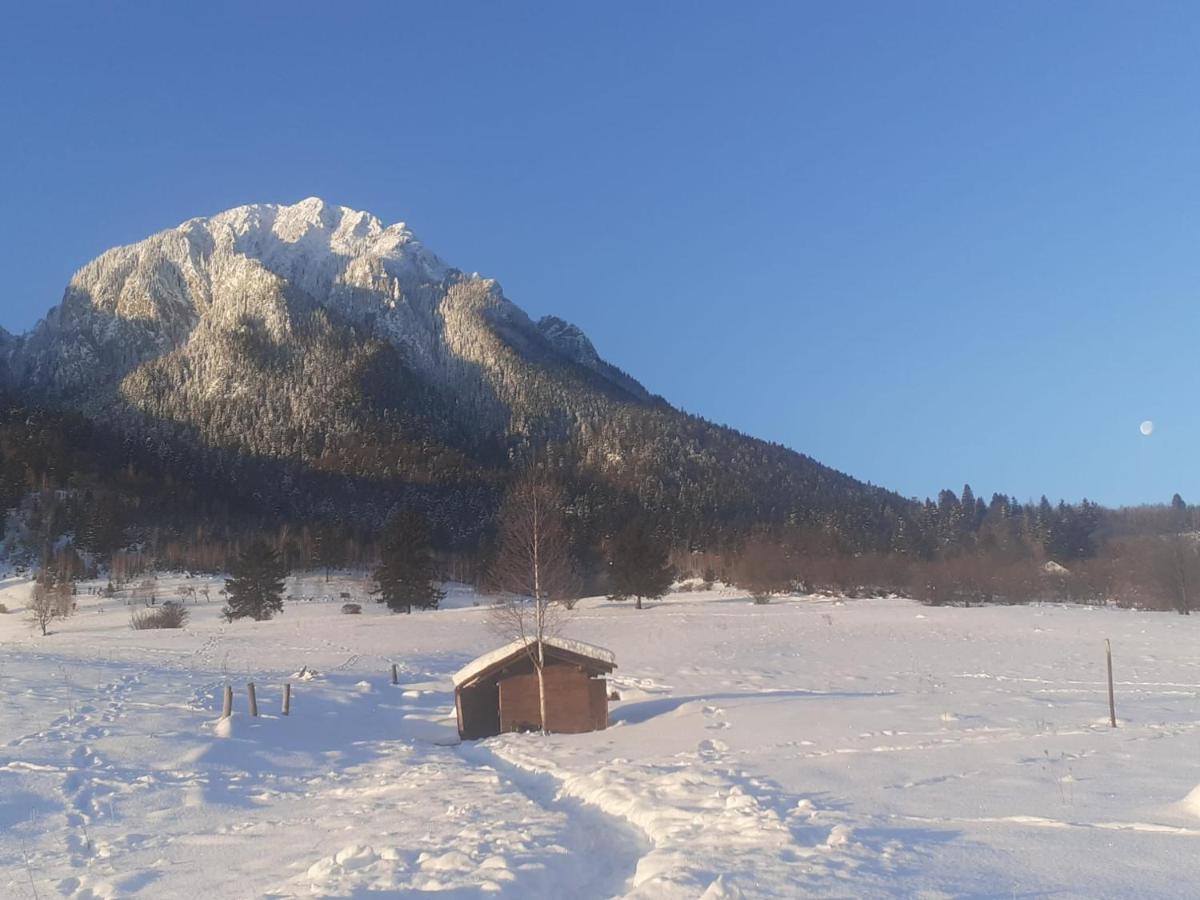Taverna Pietrei Craiului Zărneşti 외부 사진
